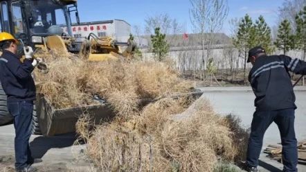 【基层动态】公路运输作业部开展绿色守护环境整治行动11.jpg