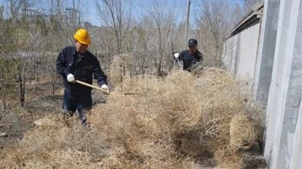 【基层动态】公路运输作业部开展绿色守护环境整治行动22.jpg